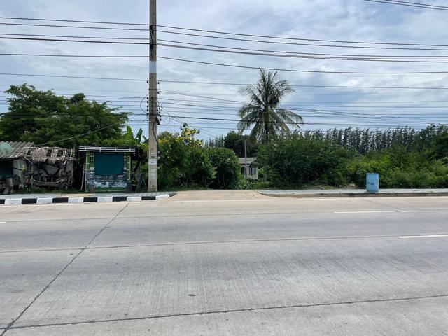 ใช่ 💟 ที่ดินเปล่า สองพี่น้อง สุพรรณบุรี 💟 รูปที่ 4