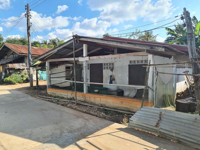 ใช่ 💟 บ้านเดี่ยว กิ่งอำเภอเอราวัณ เลย 💟 รูปที่ 3