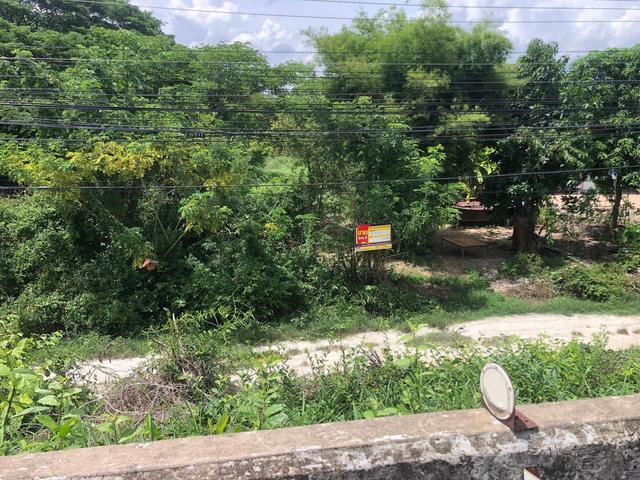 ใช่ 💟 ที่ดินเปล่า พยุหะคีรี นครสวรรค์ 💟