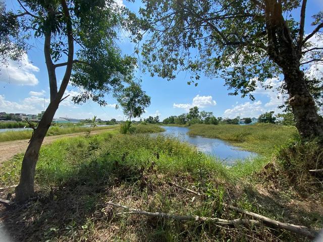 ใช่ 💟 ที่ดินเปล่า โครงการศศิธรเรสซิเดนท์ โคกแฝด 💟 รูปที่ 4