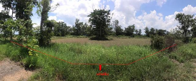 ใช่ 💟 ที่ดินเปล่า เชียงใหม่ 💟 รูปที่ 3