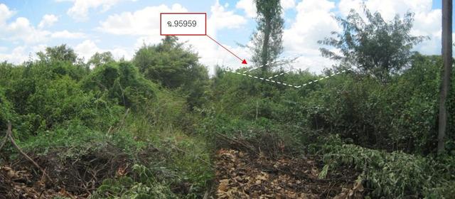 āđāļāđ ð āļāļĩāđāļāļīāļāđāļāļĨāđāļē āđāļāļĢāļāļāļēāļĢāļĒāļļāļ§āļāļĩāļĢāļīāđāļ§āļāļĢāđāļ§āļīāļ§ āļāļļāļāļĨāļĢāļēāļāļāļēāļāļĩ ð āļĢāļđāļāļāļĩāđ 3