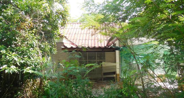 ใช่ 💟 บ้านเดี่ยว หนองบัวแดง ชัยภูมิ 💟 รูปที่ 2