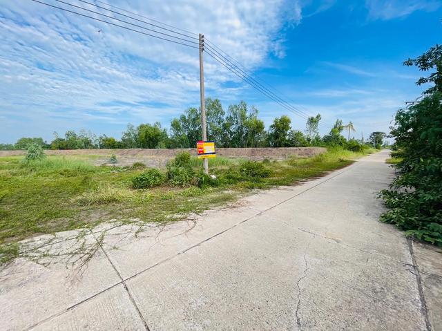 ใช่ 💟 ที่ดินเปล่า โครงการเวลเนสซิตี้ พระนครศรีอยุธยา 💟