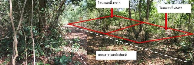 ใช่ 💟 ที่ดินเปล่า นราธิวาส 💟 รูปที่ 3