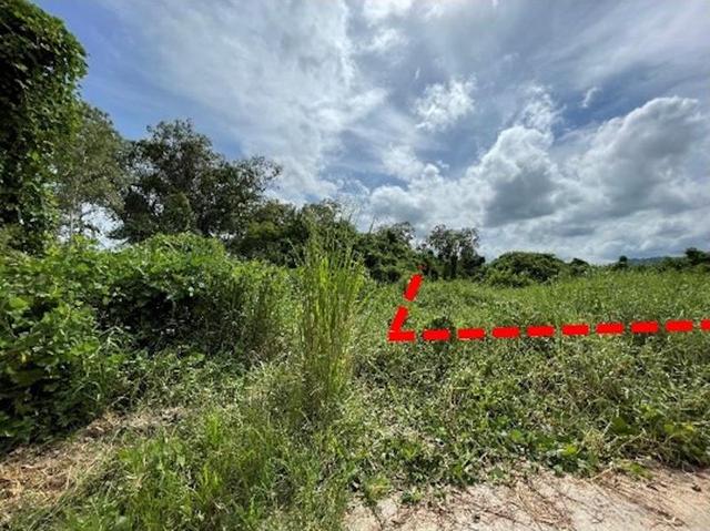 ใช่ 💟 ที่ดินเปล่า โครงการอภิชาติแลนด์ ชลบุรี 💟 รูปที่ 4