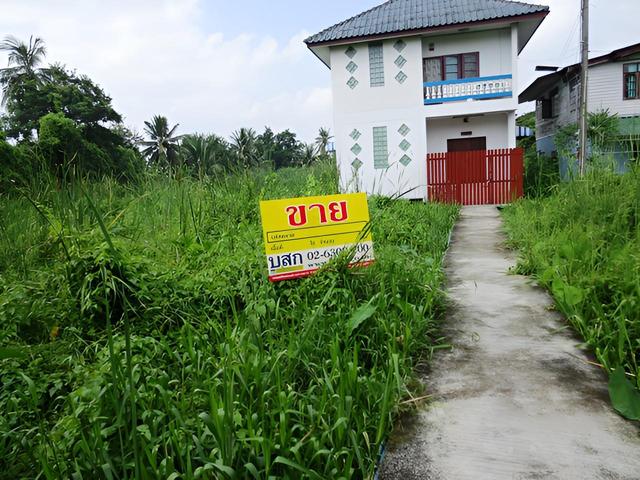 💟 ที่ดินเปล่า บางแค(หลักสอง) หนองแขม 💟 รูปที่ 2