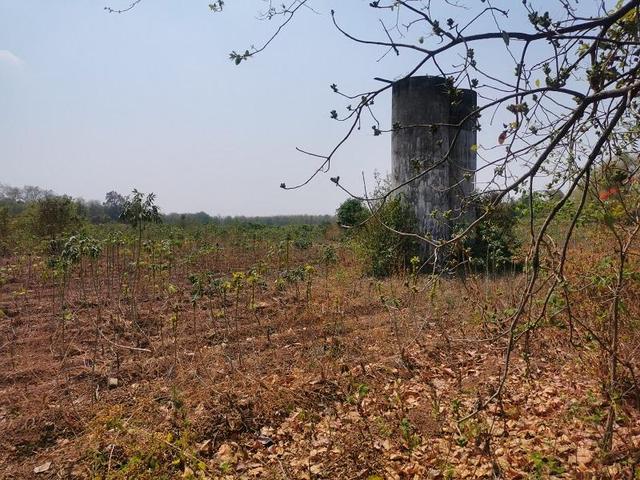 💟 บ้านเดี่ยว ปราจีนบุรี 💟 รูปที่ 3