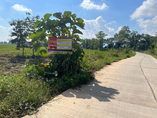 ใช่ 💟 บ้านเดี่ยว พร้อมสิ่งปลูกสร้างหลายรายการ 💟