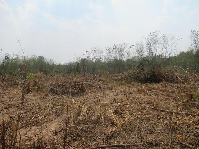 āđāļāđ ð āļāļĩāđāļāļīāļāđāļāļĨāđāļē āđāļĄāđāļāļē āļĨāļģāļāļđāļ ð āļĢāļđāļāļāļĩāđ 3