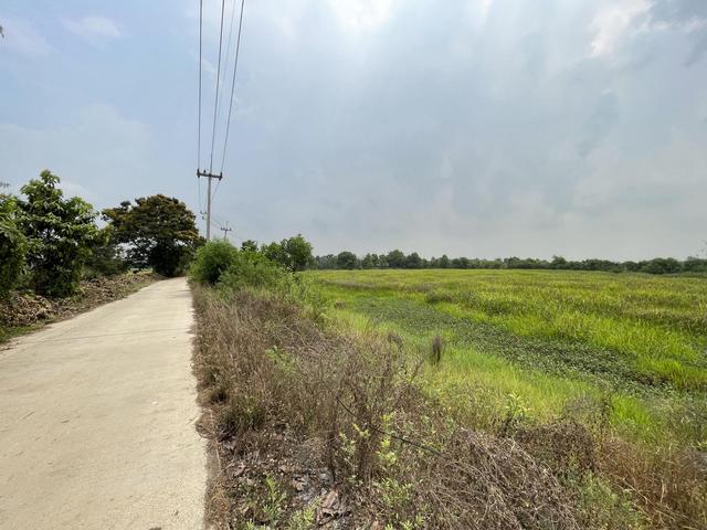 💟 ที่ดินเกษตร พระนครศรีอยุธยา 💟 รูปที่ 4