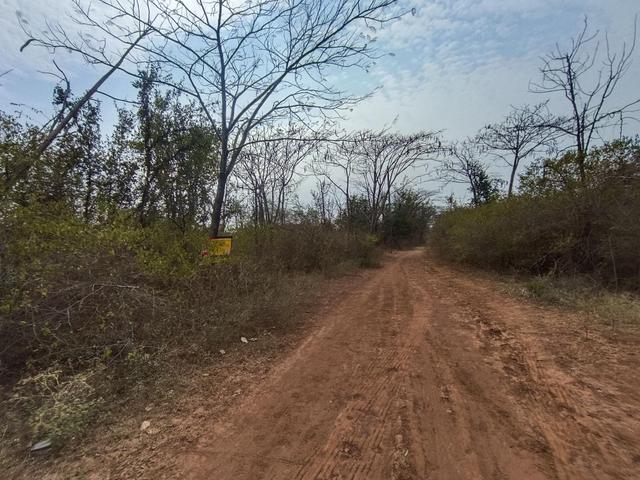 ใช่ 💟 ที่ดินเปล่า โครงการอู่ทองสักทอง สุพรรณบุรี 💟 รูปที่ 4