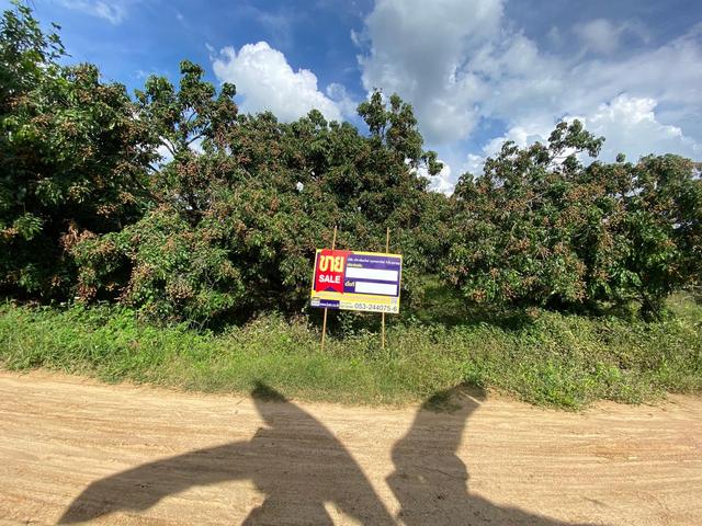 ใช่ 💟 ที่ดินเปล่า โครงการสวนเกษตรน้ำดิบ ลำพูน 💟