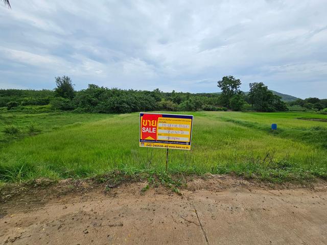 ใช่ 💟 ที่ดินเปล่า ชุมชนบ้านน้ำพร เลย 💟 รูปที่ 4