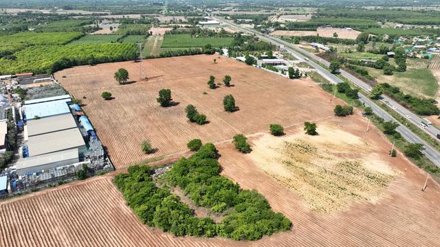 ใช่ 💟 ที่ดินเปล่า ฉะเชิงเทรา 💟 รูปที่ 4