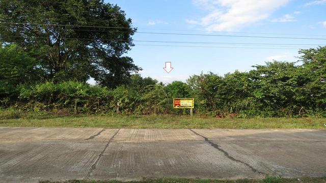 ใช่ 💟 ที่ดินเปล่า อำนาจเจริญ 💟 รูปที่ 3