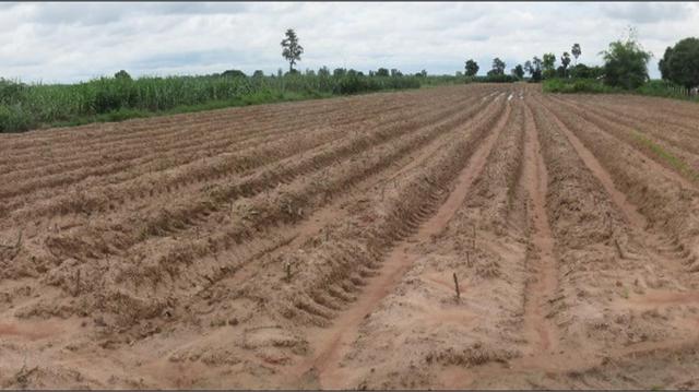 ใช่ 💟 ที่ดินเปล่า อุดรธานี 💟 รูปที่ 4