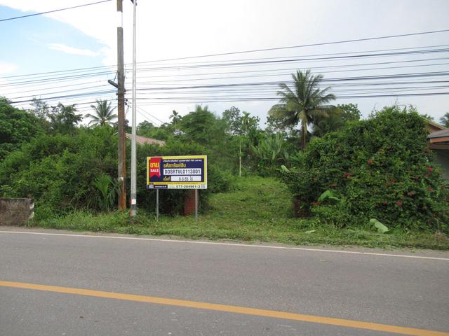 ใช่ 💟 ที่ดินเปล่า สุราษฎร์ธานี 💟