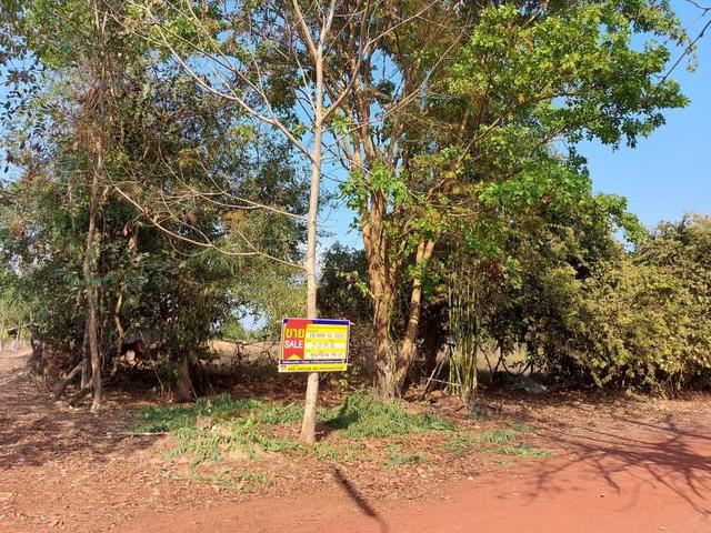 ใช่ 💟 ที่ดินเปล่า ชุมชนโพธิ์หมากแข้ง บึงกาฬ 💟