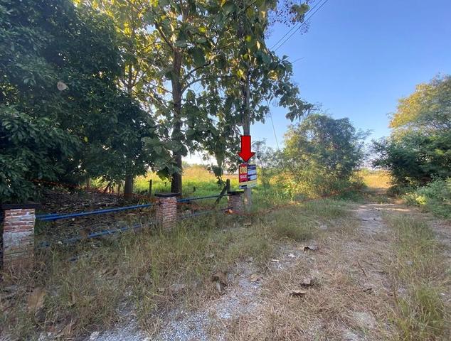 ใช่ 💟 ที่ดินเปล่า ดอยหล่อ เชียงใหม่ 💟 รูปที่ 4