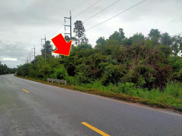 💟 ที่ดินเปล่า มหาสารคาม 💟 รูปที่ 4