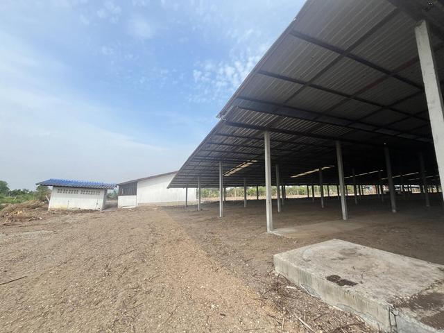 ใช่ 💟 บ้านพักอาศัย พร้อมโรงเรือนเลี้ยงเป็ด สุพรรณบุรี 💟 รูปที่ 4