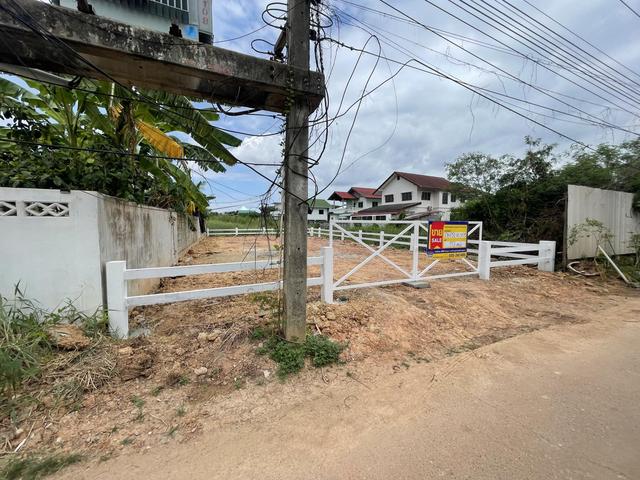 ใช่ 💟 ที่ดินเปล่า พิษณุโลก 💟 รูปที่ 2