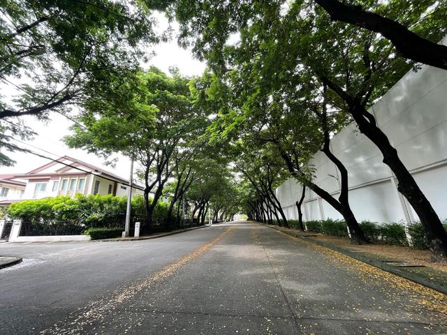 ใช่ 💟 บ้านเดี่ยว โครงการมัณฑนา วงแหวน-เทพารักษ์ 💟 รูปที่ 4