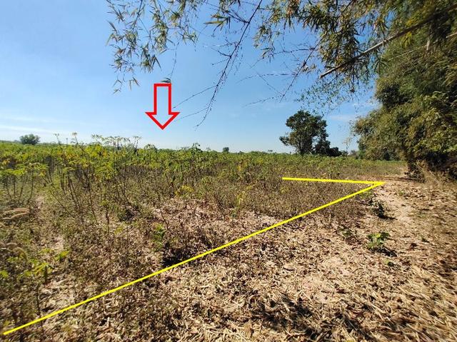 āđāļāđ ð āļāļĩāđāļāļīāļāđāļāļĨāđāļē āļāļļāļāļĨāļĢāļēāļāļāļēāļāļĩ ð āļĢāļđāļāļāļĩāđ 3