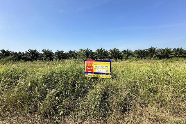 ใช่ 💟 ที่ดินเปล่า โครงการแนนซี่แลนด์ 1 นครนายก 💟