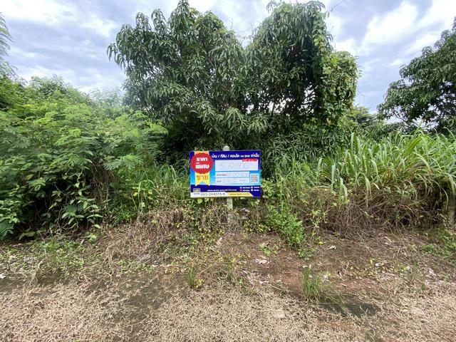 💟 ที่ดินเปล่า โครงการบ้านดงห้วยเย็น ลำพูน 💟