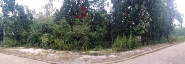 ใช่ 💟 ที่ดินเปล่า ตาก 💟