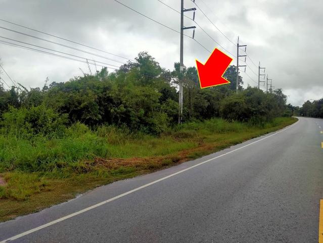 💟 ที่ดินเปล่า มหาสารคาม 💟 รูปที่ 3