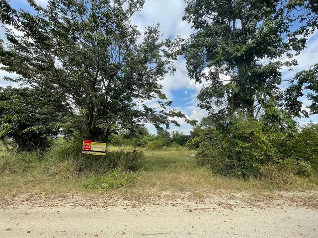 ใช่ 💟 ที่ดินเปล่า โครงการบ้านไร่ริมธาร ลำพูน 💟 รูปที่ 4