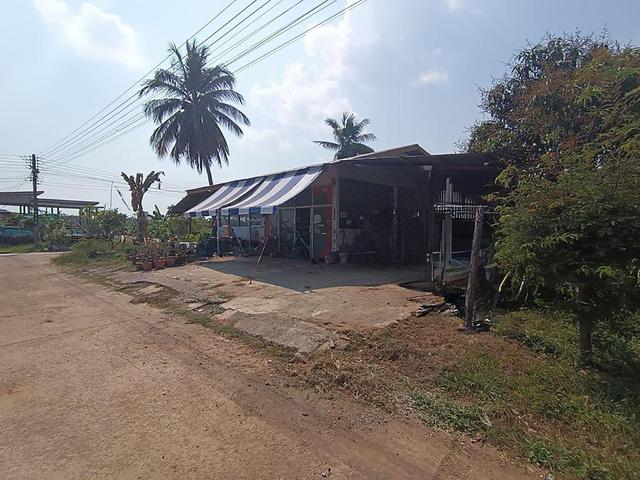 ใช่ 💟 บ้านเดี่ยว ชุมชนบ้านสงยาง กาฬสินธุ์ 💟 รูปที่ 4