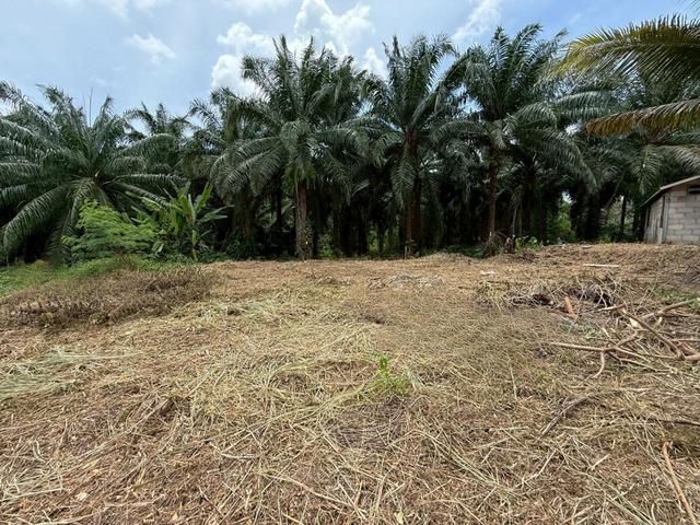 āđāļāđ ð āļāļĩāđāļāļīāļāđāļāļĨāđāļē āļāļĢāļ°āļāļĩāđ ð āļĢāļđāļāļāļĩāđ 3