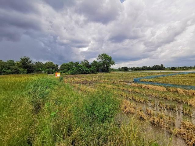 ใช่ 💟 ที่ดินเปล่า นครนายก 💟 รูปที่ 4