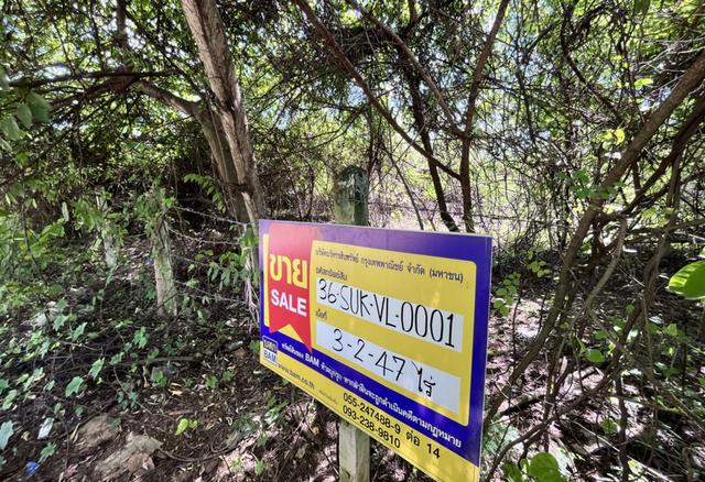 ใช่ 💟 ที่ดินเปล่า สุโขทัย 💟 รูปที่ 4