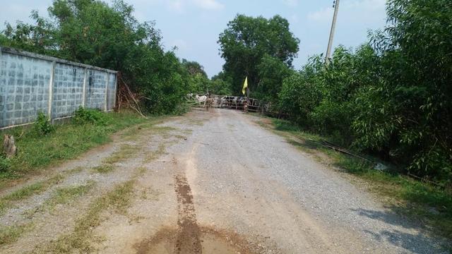 ใช่ 💟 ที่ดินเปล่า เอราวัญ 19 ปทุมธานี 💟 รูปที่ 4