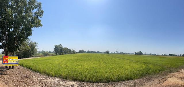 💟 ที่ดินเปล่า(ที่นา) กำแพงเพชร 💟