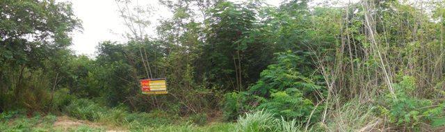 ใช่ 💟 ที่ดินเปล่า โครงการพนาภากร นครราชสีมา 💟 รูปที่ 3