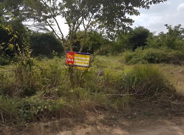 ใช่ 💟 ที่ดินเกษตรกรรม โครงการปากปวน เลย 💟 รูปที่ 3