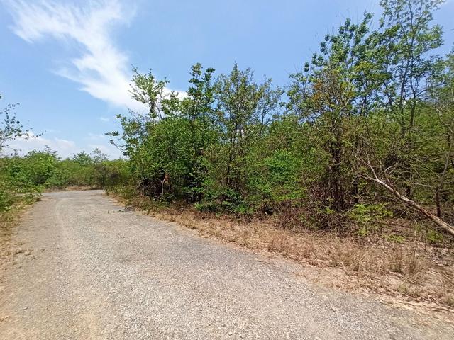 ใช่ 💟 ที่ดินเปล่า โครงการไมด้า กอล์ฟคลับ กาญจนบุรี 💟 รูปที่ 3