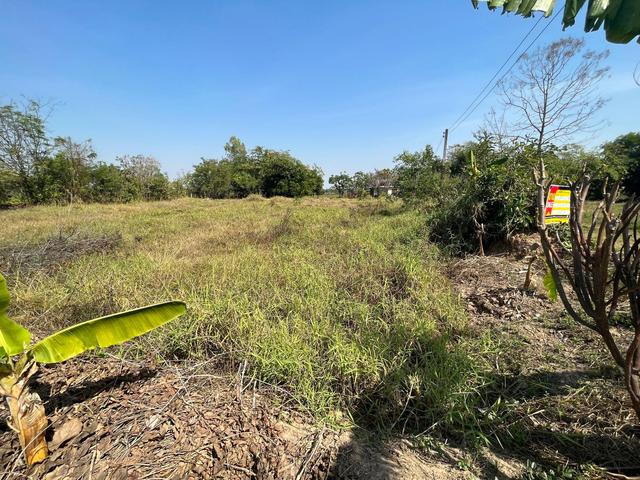 ใช่ 💟 ที่ดินเปล่า บุรีรัมย์ 💟 รูปที่ 4