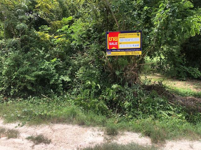 ใช่ 💟 ที่ดินเปล่า พยุหะคีรี นครสวรรค์ 💟 รูปที่ 3