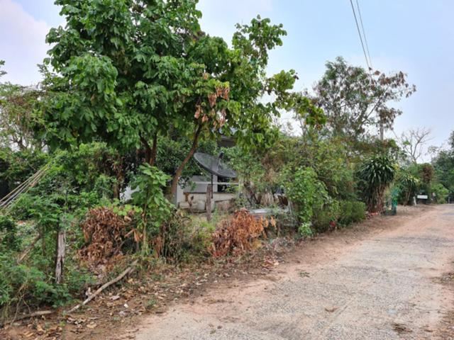 ใช่ 💟 บ้านเดี่ยว ศรีสมเด็จ ร้อยเอ็ด 💟 รูปที่ 4