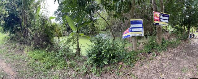 ใช่ 💟 ที่ดินเปล่า ลำพูน 💟 รูปที่ 3