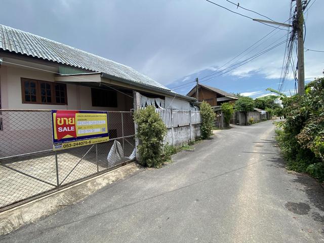 ใช่ 💟 บ้านเดี่ยวชั้นเดียว โครงการพันตน เชียงใหม่ 💟 รูปที่ 3