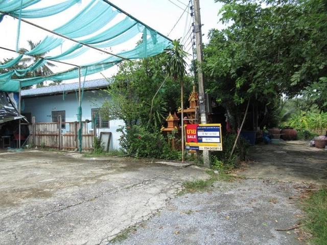 ใช่ 💟 บ้านเดี่ยว สามพราน 💟