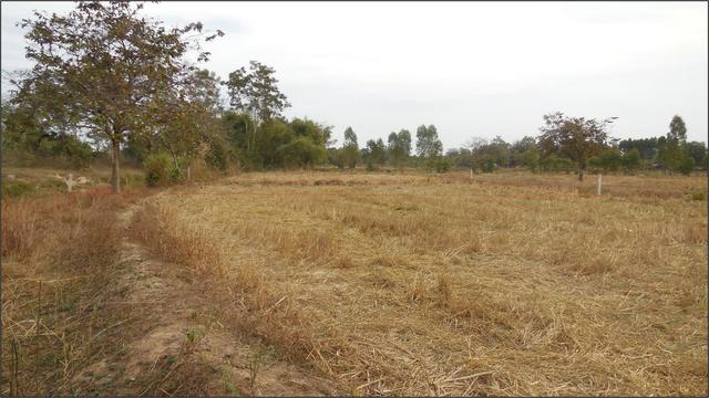 ใช่ 💟 ที่ดินเปล่า โครงการบ้านโนนท่อน ขอนแก่น 💟 รูปที่ 3